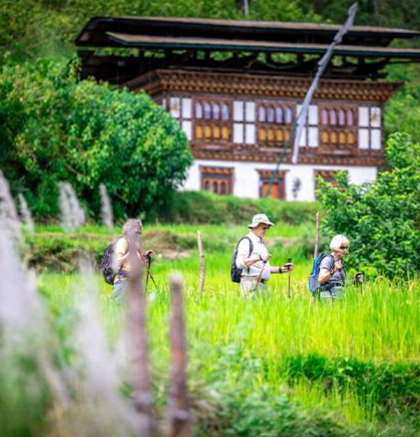 Bhutan Wakling Tours