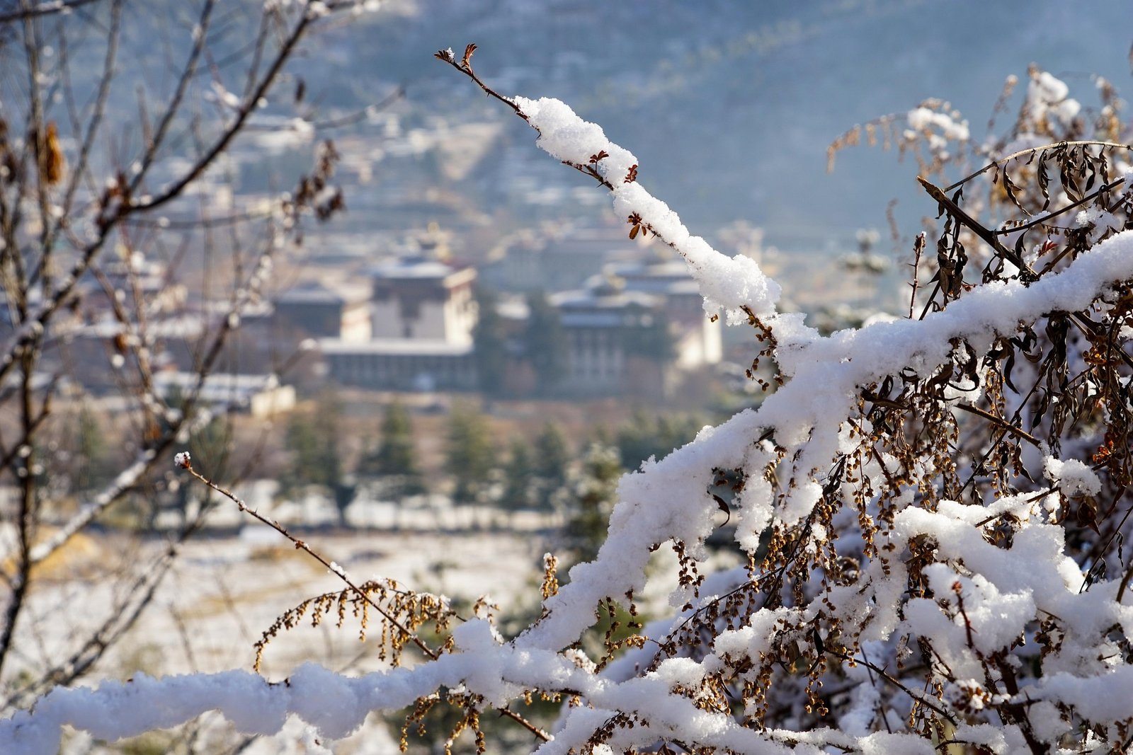 pgyamtsho snow